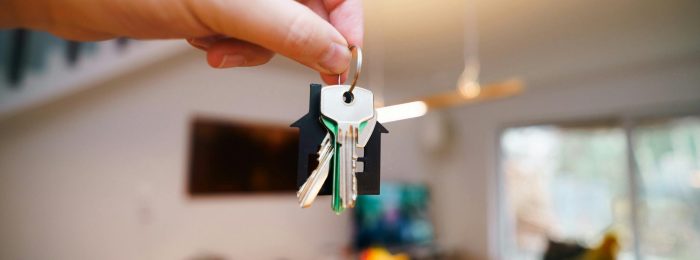 pexels-jakubzerdzicki-29871187 (1)